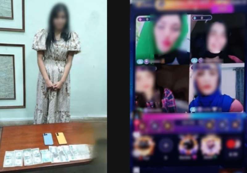 بوابة المصريين