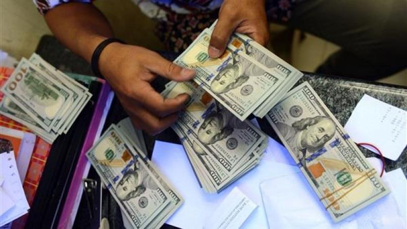 بوابة المصريين