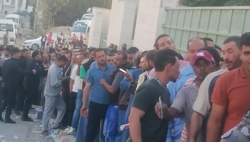 بوابة المصريين