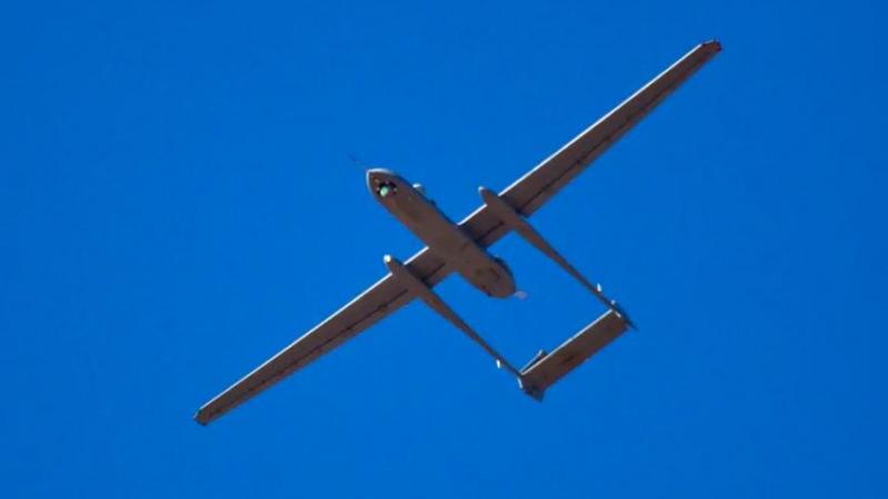 بوابة المصريين