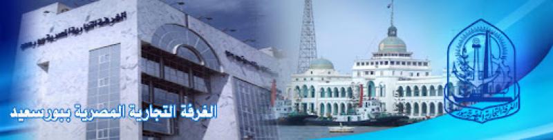 بوابة المصريين