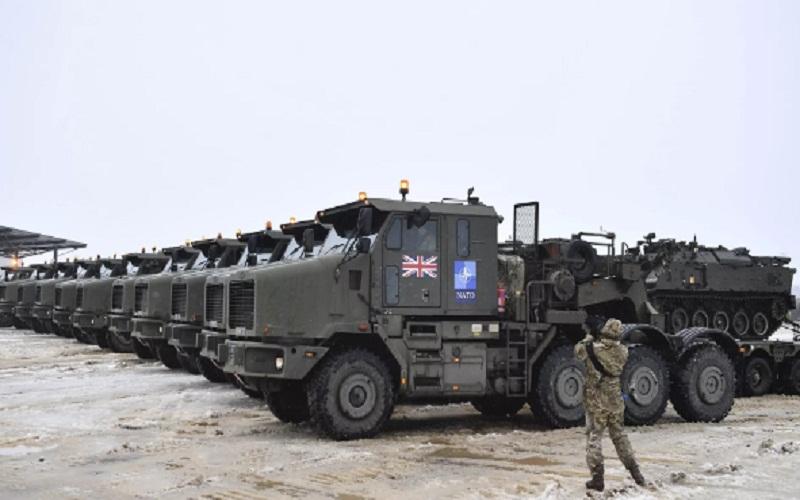 بوابة المصريين