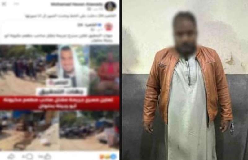 بوابة المصريين