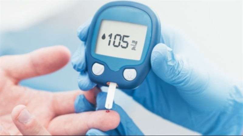 بوابة المصريين