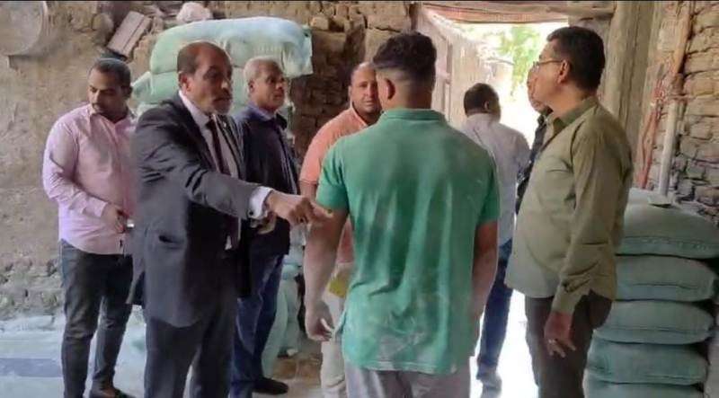 بوابة المصريين