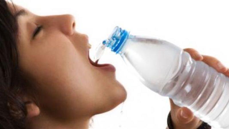 بوابة المصريين