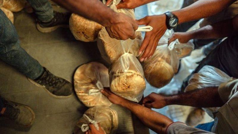 بوابة المصريين