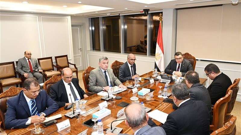 بوابة المصريين