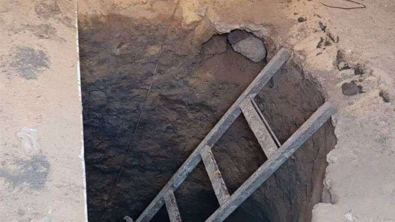 بوابة المصريين