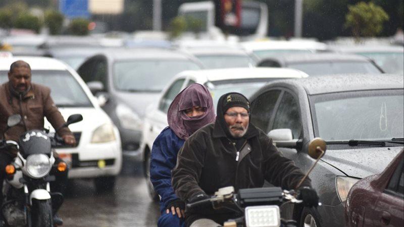 بوابة المصريين