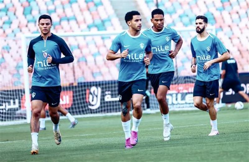 بوابة المصريين