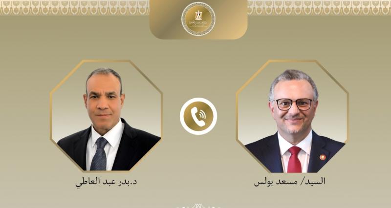 بوابة المصريين