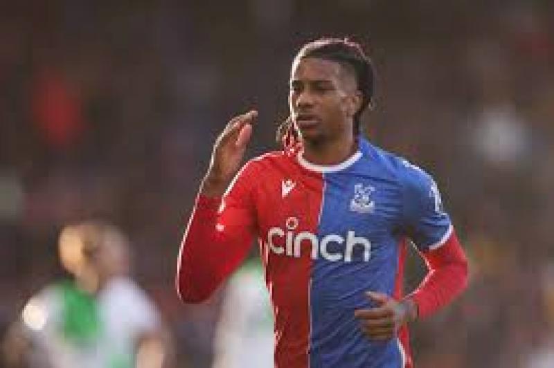 بوابة المصريين