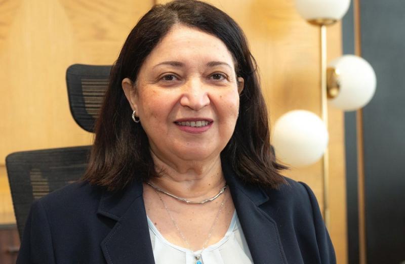 بوابة المصريين