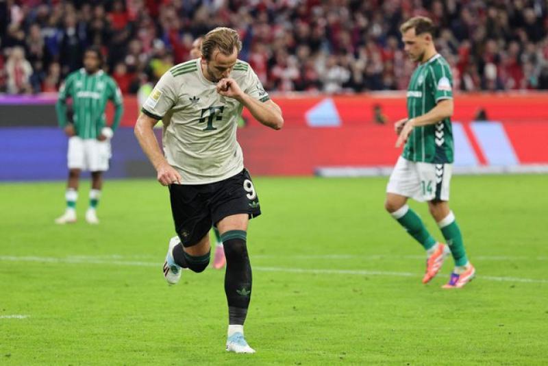 بوابة المصريين