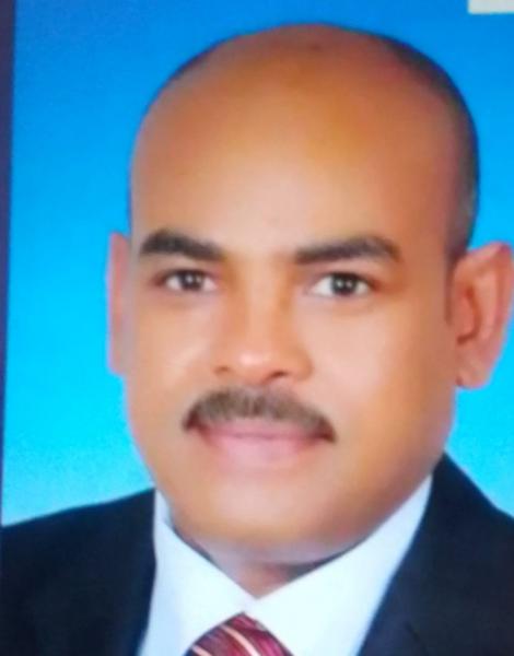 بوابة المصريين