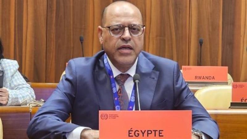 بوابة المصريين