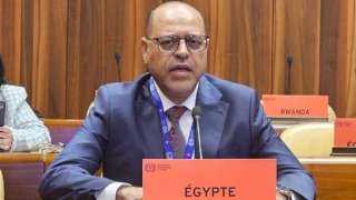 وزير العمل يشارك في اجتماعات مجلس إدارة منظمة العمل الدولية بجنيف