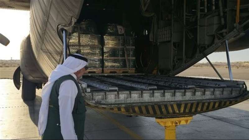 بوابة المصريين