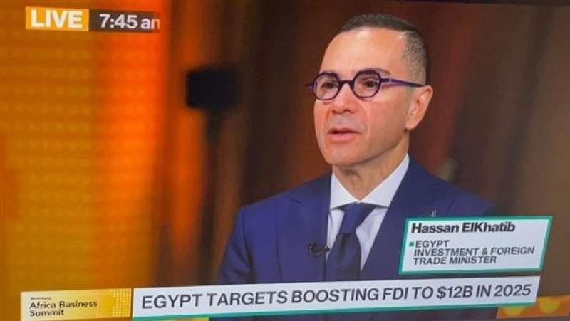 بوابة المصريين