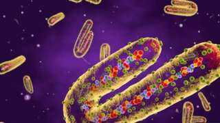 أعراض الإصابة بفيروس ماربورج بعد ظهوره في إثيوبيا