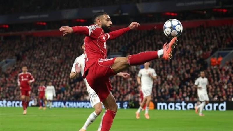 بوابة المصريين