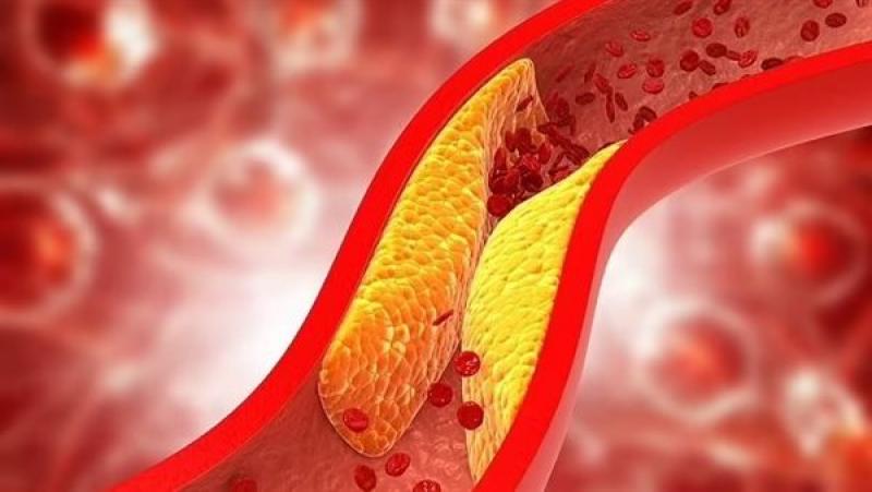 بوابة المصريين