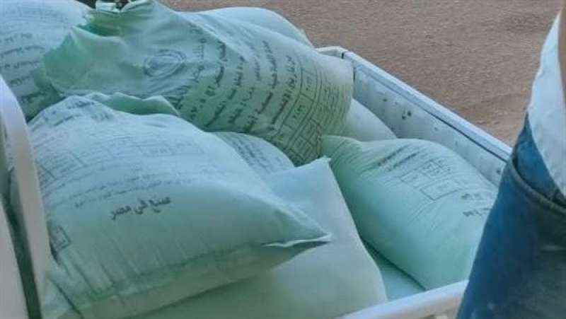 بوابة المصريين