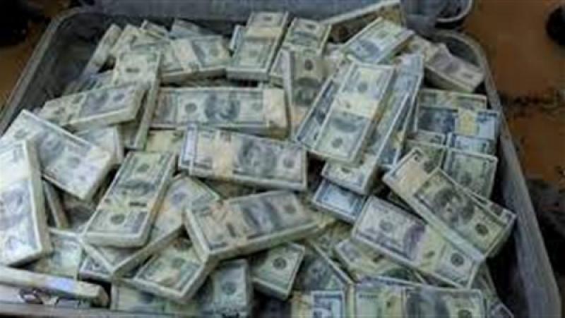 بوابة المصريين