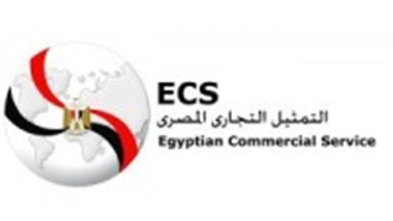 بوابة المصريين