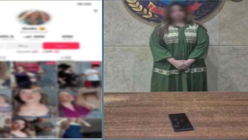 بوابة المصريين