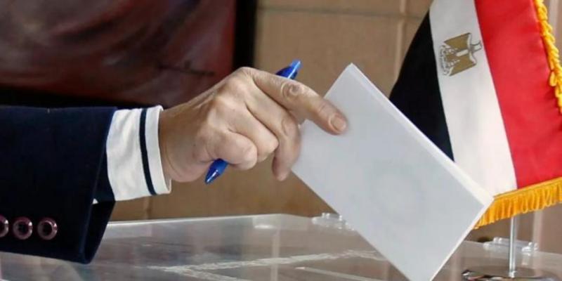 بوابة المصريين