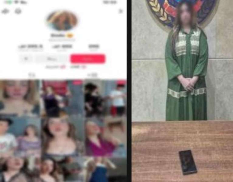 بوابة المصريين