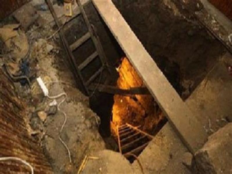 بوابة المصريين