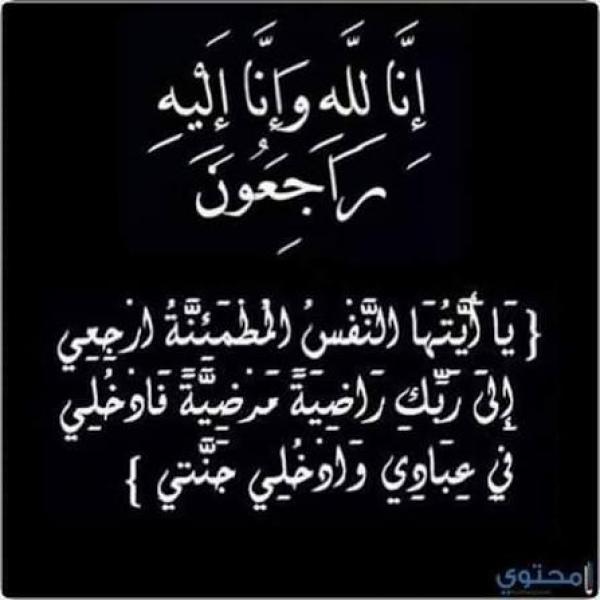 بوابة المصريين