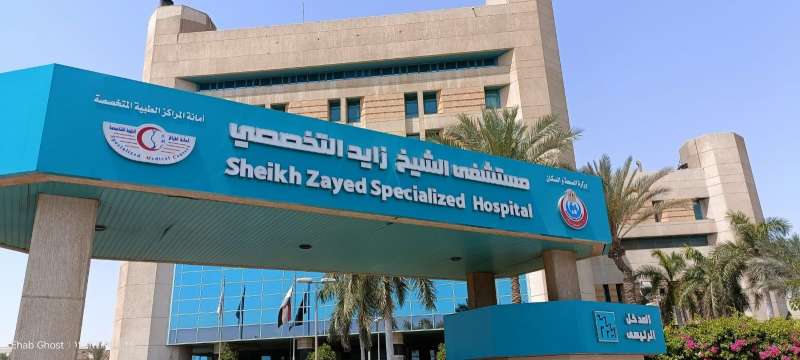 بوابة المصريين