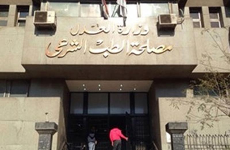 بوابة المصريين