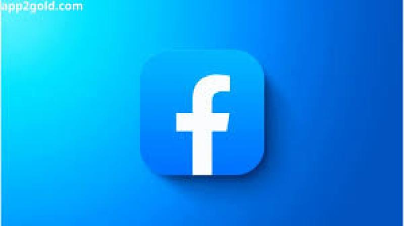 بوابة المصريين