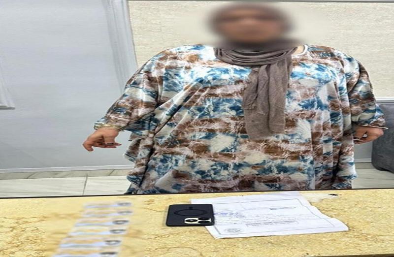 بوابة المصريين