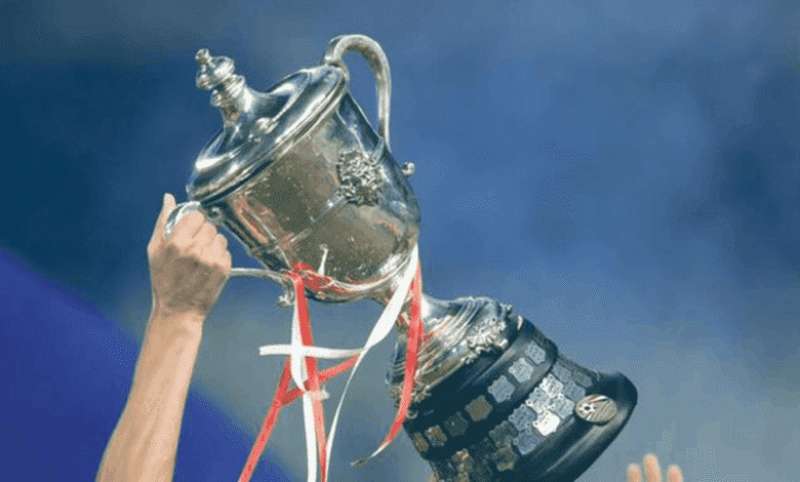 بوابة المصريين