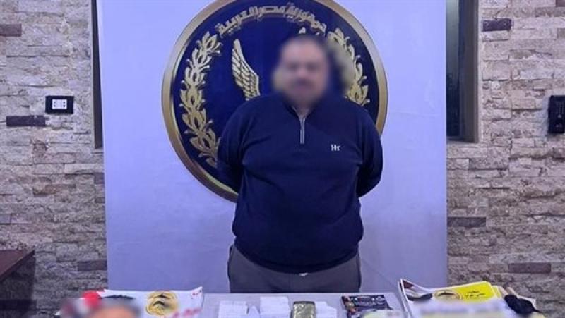 بوابة المصريين