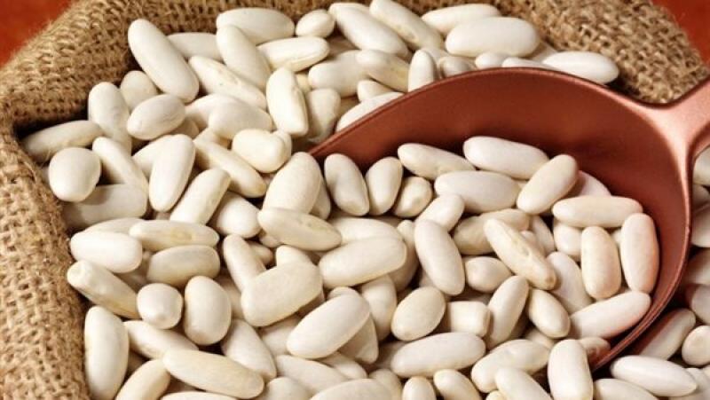 بوابة المصريين