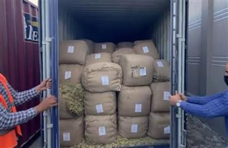 بوابة المصريين