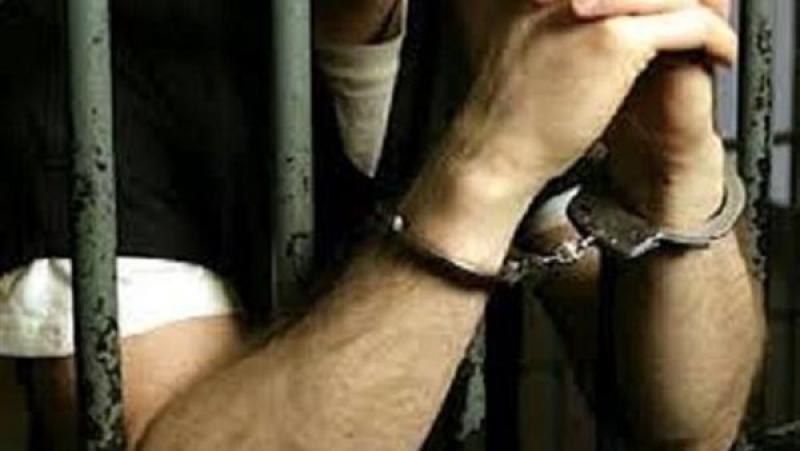 بوابة المصريين