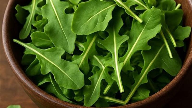 بوابة المصريين