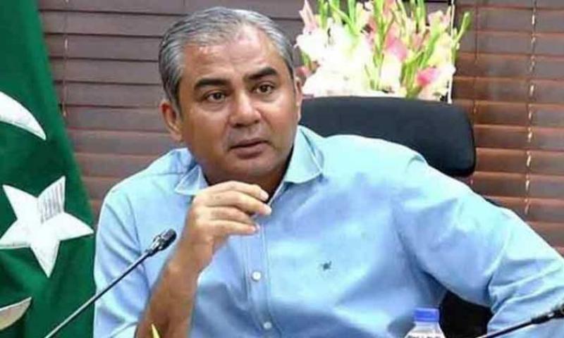 بوابة المصريين