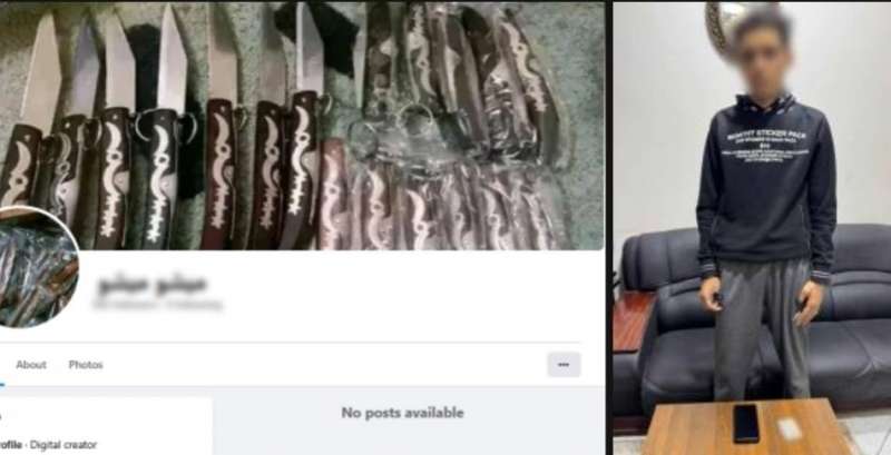 بوابة المصريين