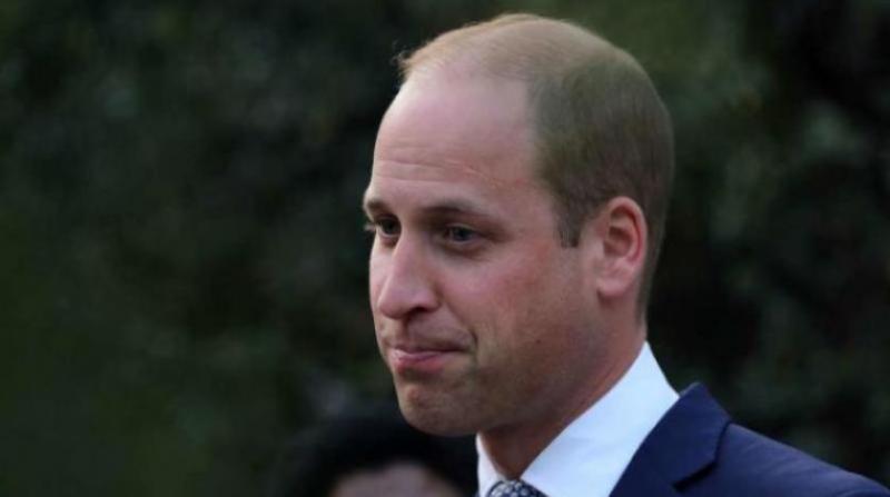 بوابة المصريين