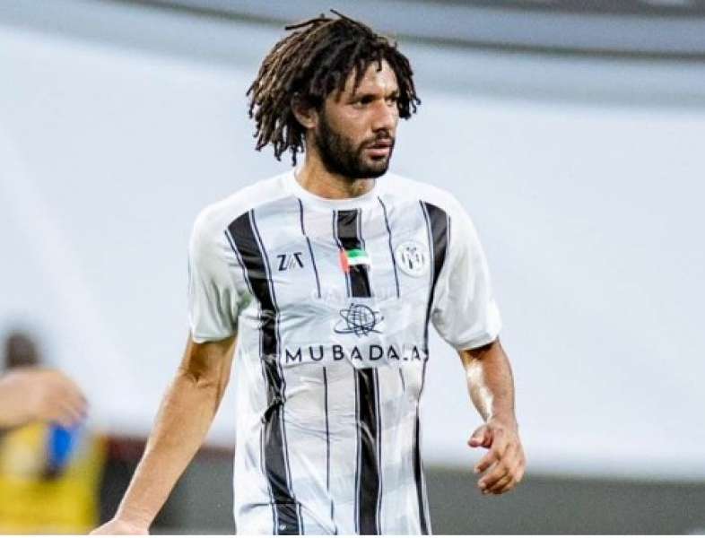 بوابة المصريين