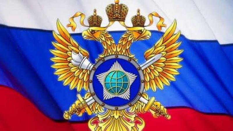 بوابة المصريين